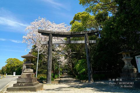 江田神社 鳥居