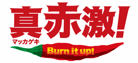 2016ǯ¹ÅçÅìÍÎ¥«¡¼¥×¥¥ã¥Ã¥Á¥Õ¥ì¡¼¥º 2016ǯ¹ÅçÅìÍÎ¥«¡¼¥×¥¥ã¥Ã¥Á¥Õ¥ì¡¼¥º