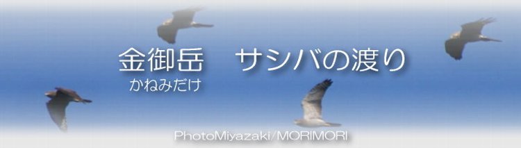 x@TVo̓n@^Cg