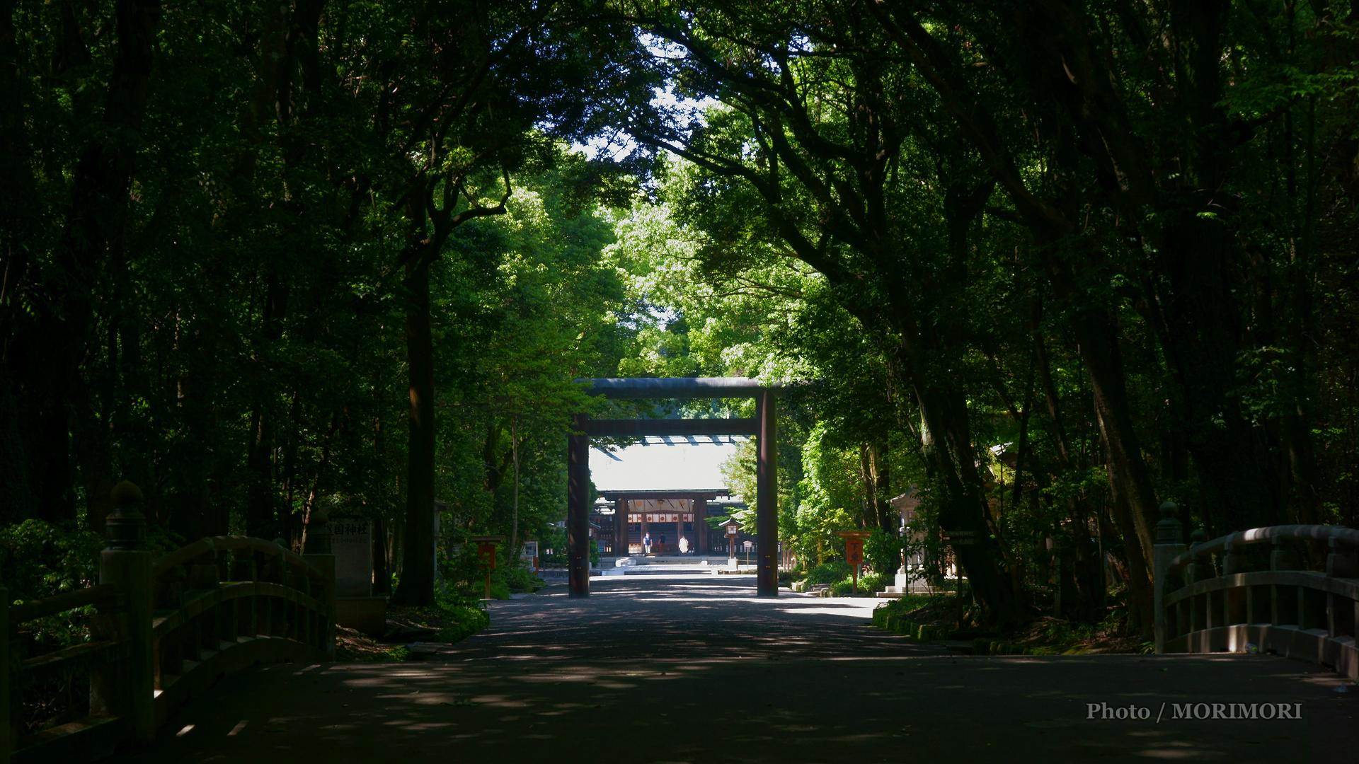 新緑の宮崎神宮