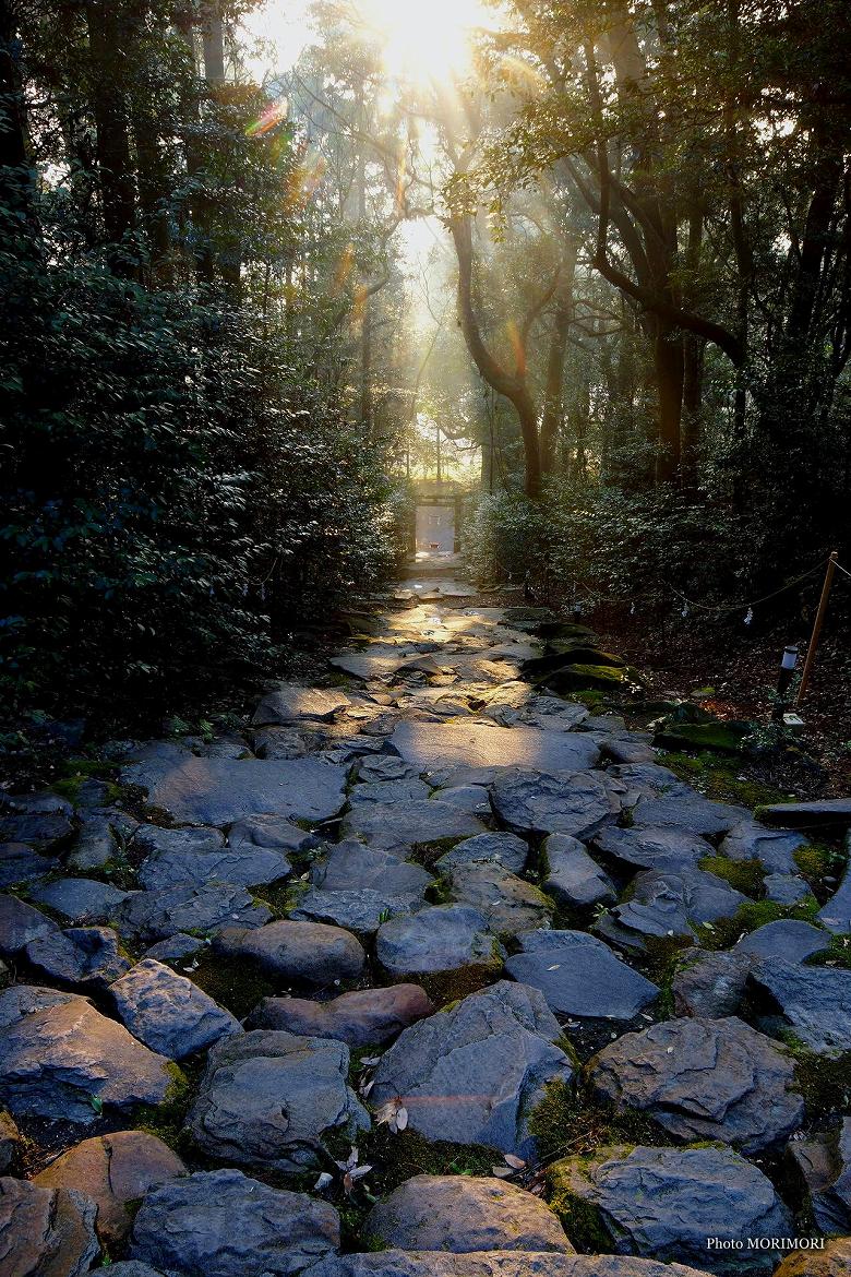 ■ 東霧島神社　鬼岩階段