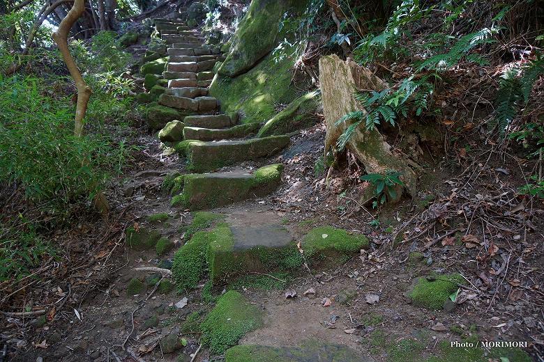 鵜戸山　連日の峯吾平山上陵への道