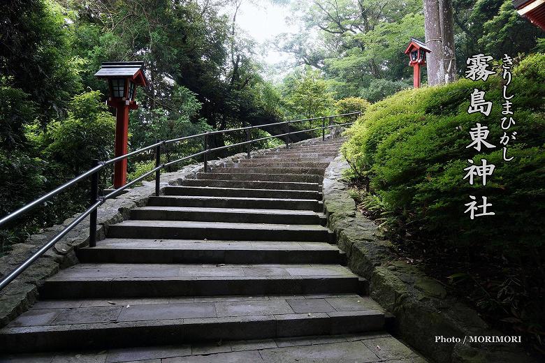 新緑の時期　霧島の神社　参道