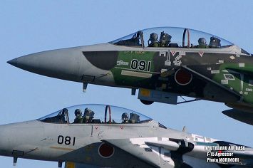 新田原基地航空祭 Ｆ−１５アグレッサー
