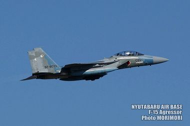 新田原基地 F-15アグレッサーの写真（2009）a01