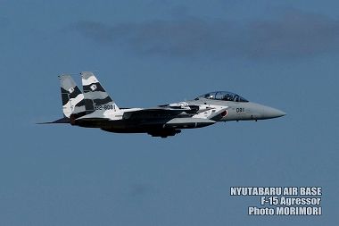 新田原基地 F-15アグレッサーの写真（2009）a03