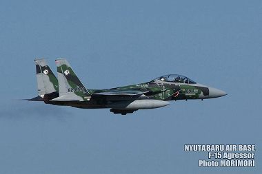 新田原基地 F-15アグレッサーの写真（2009）a04