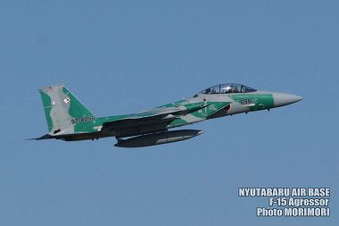 Vcn F-15AObT[̎ʐ^i2009ja05