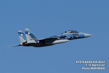 新田原基地 F-15アグレッサーの写真（2009）06