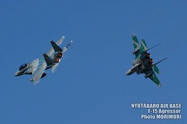 新田原基地 F-15アグレッサーの写真（2009）04