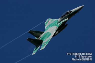 新田原基地 F-15アグレッサーの写真（2009）05