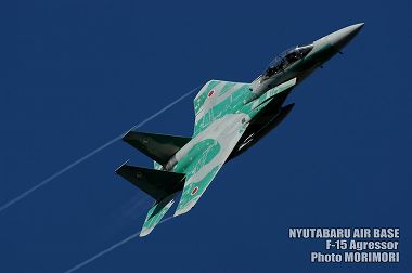 Vcn F-15AObT[̎ʐ^i2009j05