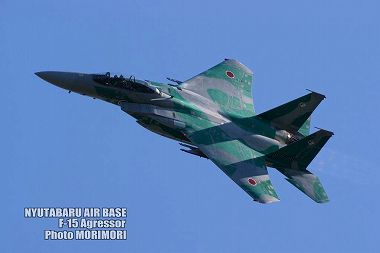 新田原基地 F-15アグレッサーの写真（2009）18　