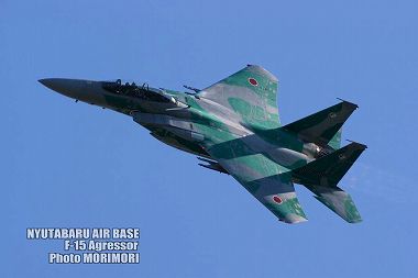 Vcn F-15AObT[̎ʐ^i2009j18@