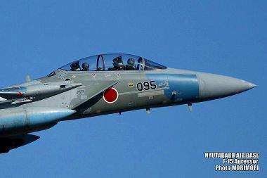 新田原基地 F-15アグレッサーの写真（2009） 01a