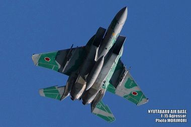 新田原基地 F-15アグレッサーの写真（2009） 02a