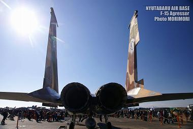 新田原基地 F-15アグレッサーの写真（2009） 基地祭　地上展示　03