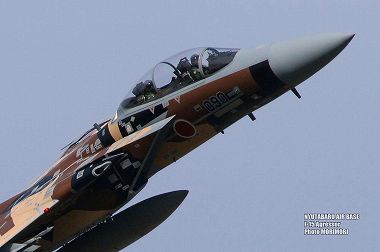 F-15アグレッサー　機動飛行　add-02