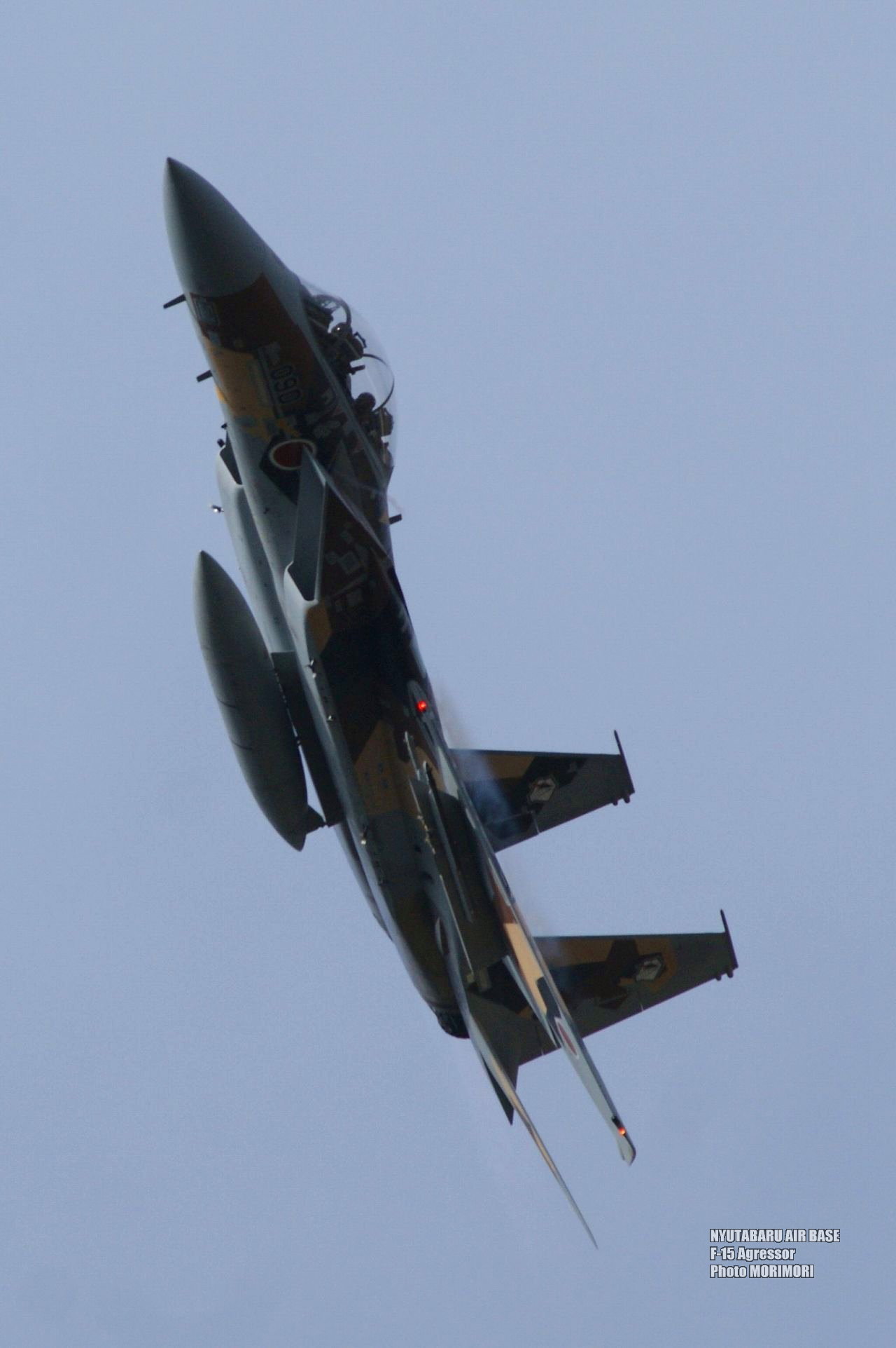 新田原基地 F 15アグレッサー 飛行教導群 旧 飛行教導隊 機動飛行等の写真 画像