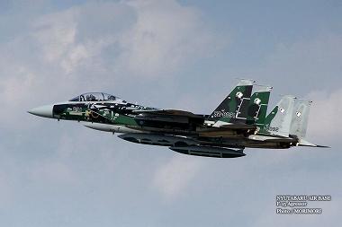 NYUTABARU AIR BASE 　F-15　Agressor　2013 01