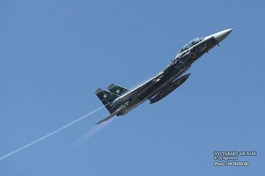 NYUTABARU AIR BASE 　F-15　Agressor　2013 02