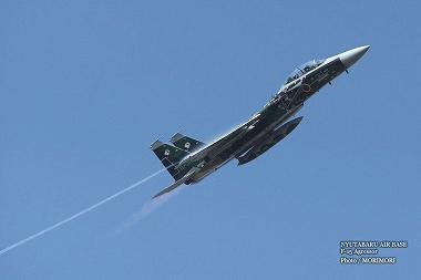 NYUTABARU AIR BASE @F-15@Agressor@2013 02