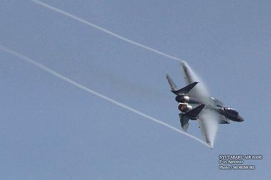NYUTABARU AIR BASE 　F-15　Agressor　2013 03