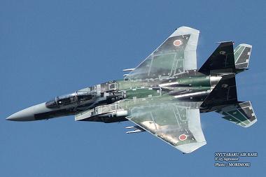NYUTABARU AIR BASE 　F-15　Agressor　2013 04