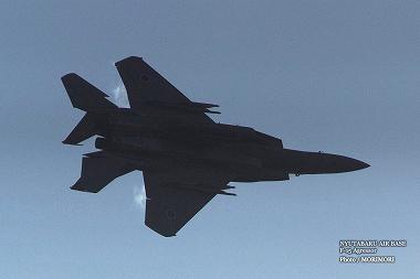 NYUTABARU AIR BASE 　F-15　Agressor　2013 06
