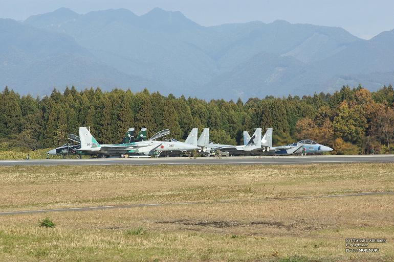 NYUTABARU AIR BASE @F-15@Agressor@2013 09