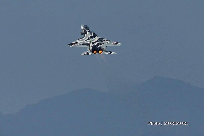2015年撮影　F-15アグレッサー（新田原基地）03