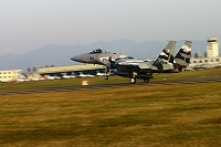 F15