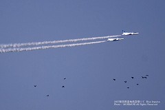 VcnqՁ@2007@u[CpX