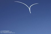 u[CpXEVERTICAL CUPID@08