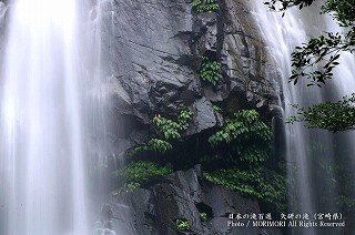 矢研の滝（やとぎの滝）　尾鈴瀑布群　05