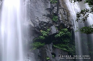 ̑iƂ̑j@ezQ@05