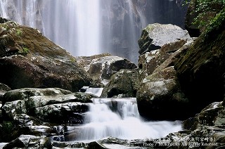 ̑iƂ̑j@ezQ@06