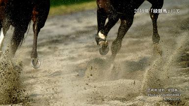 2018年「第38回 綾競馬」にて