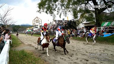 2018年「第38回 綾競馬」にて