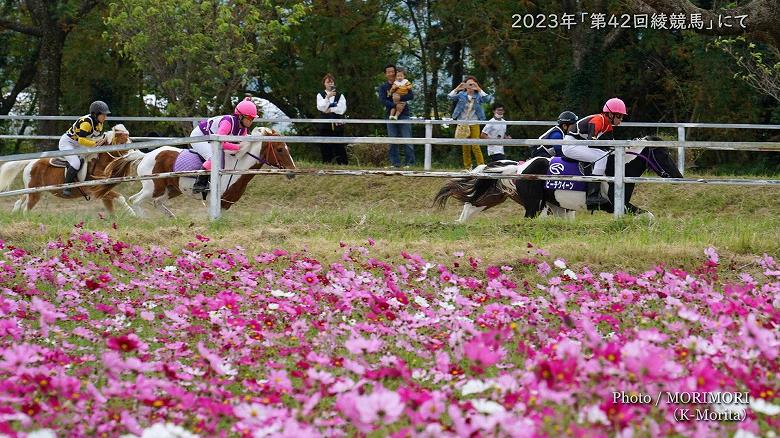 2023年 「第42回 綾競馬」