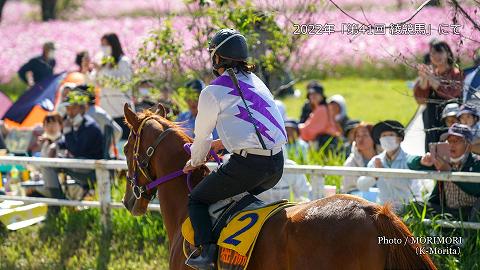 2022年 「第41回 綾競馬」