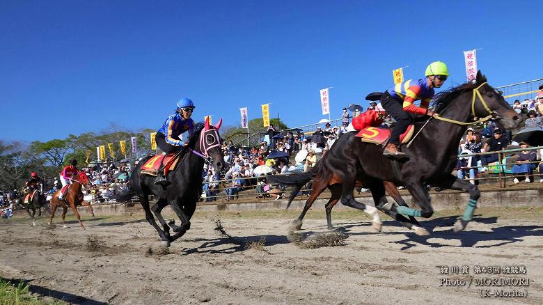 第９レース 決勝「綾川賞」