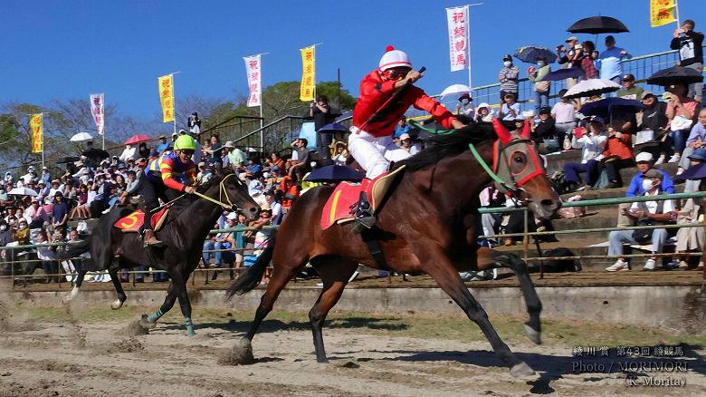 第９レース 決勝「綾川賞」