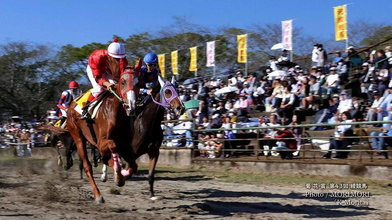 第10レース決勝「菊花賞」