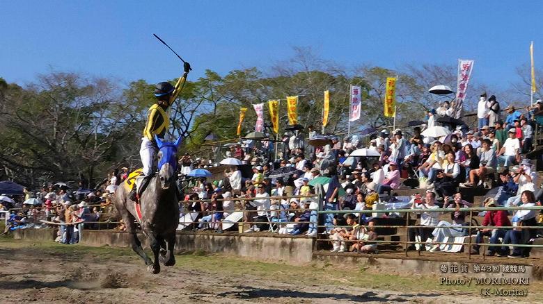 第10レース決勝「菊花賞」