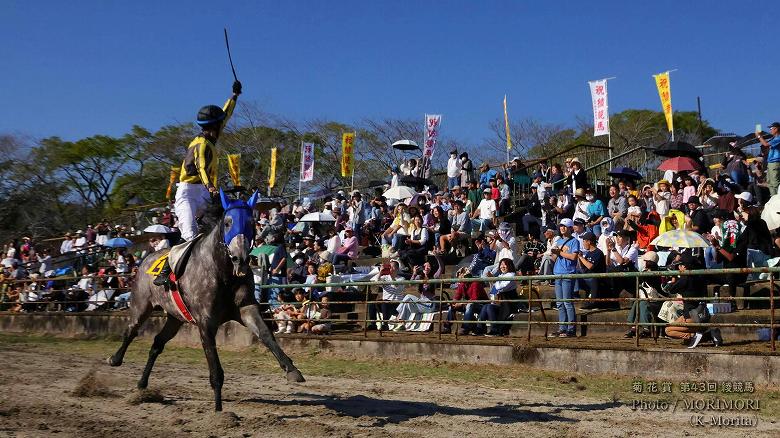 第10レース決勝「菊花賞」