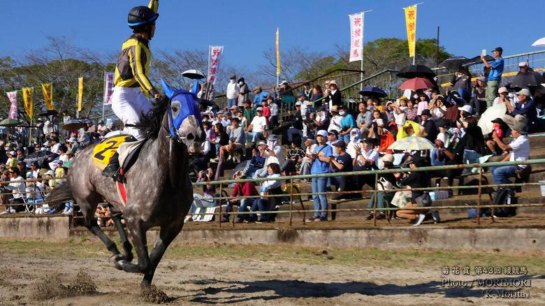 第10レース決勝「菊花賞」