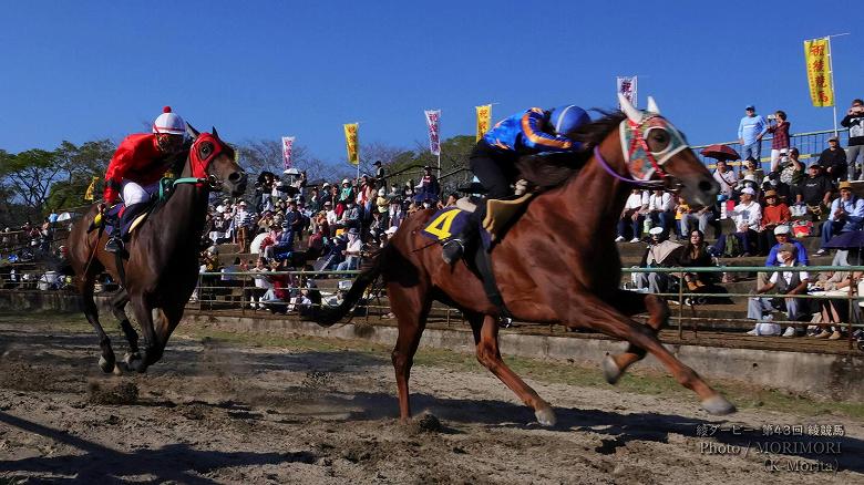 第11レース決勝「綾ダービー」