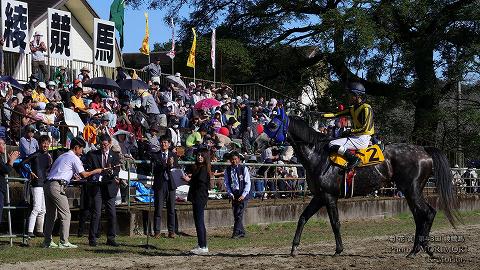 第10レース決勝「菊花賞」表彰式