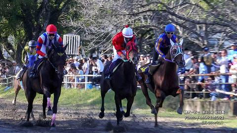 第11レース決勝「綾ダービー」